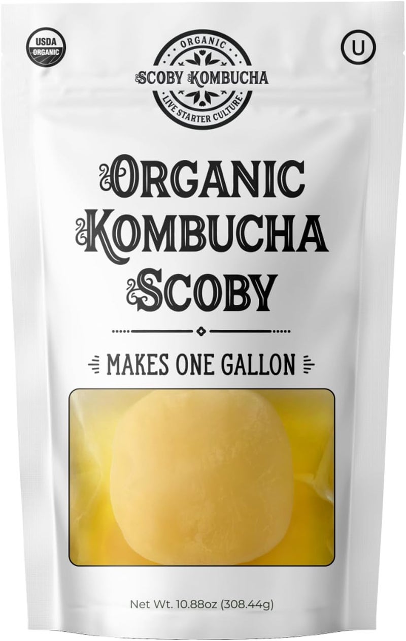 Scoby Kombucha سكوبى كومبوتشا - ثقافة حية للتخمير المنزلي - Image 1